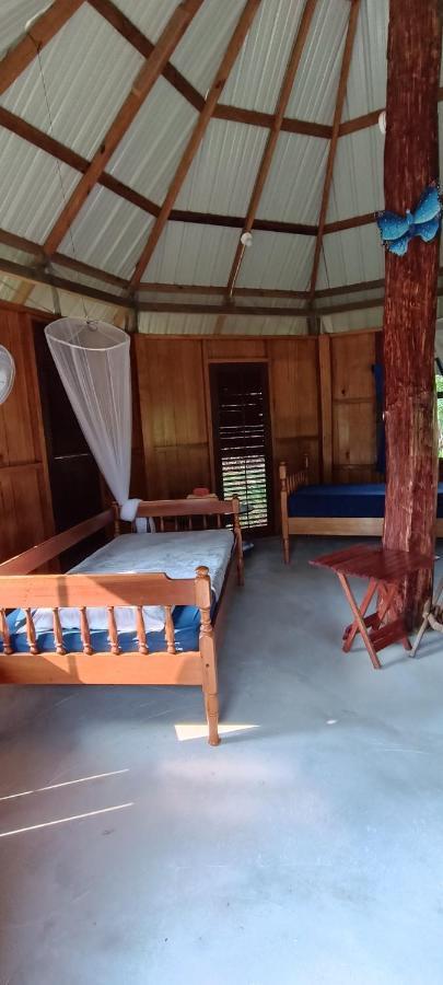 Sun Creek Lodge Punta Gorda Extérieur photo