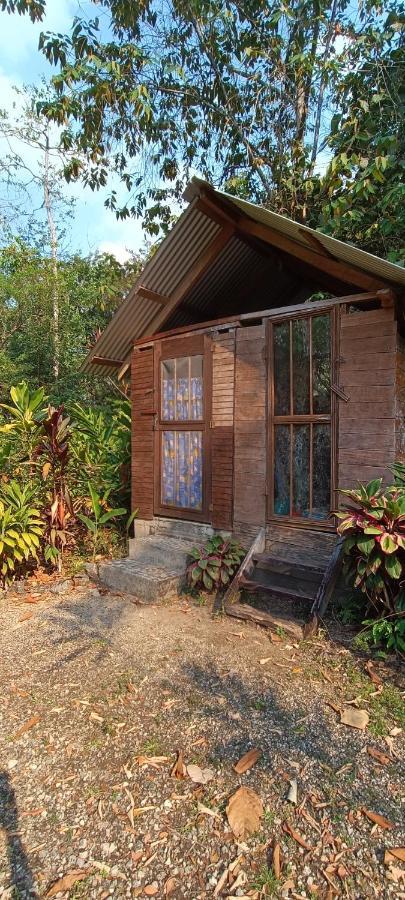 Sun Creek Lodge Punta Gorda Extérieur photo
