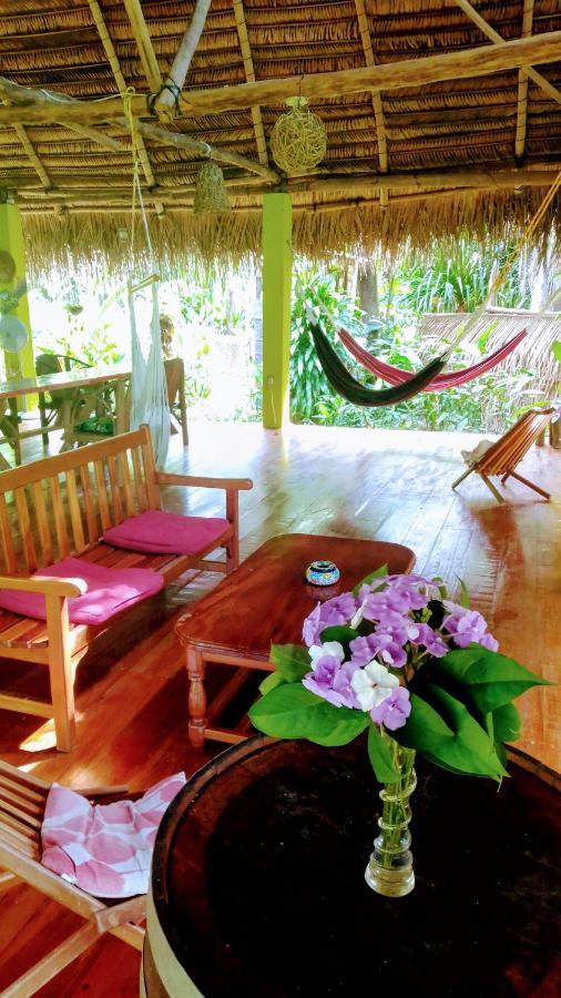 Sun Creek Lodge Punta Gorda Extérieur photo