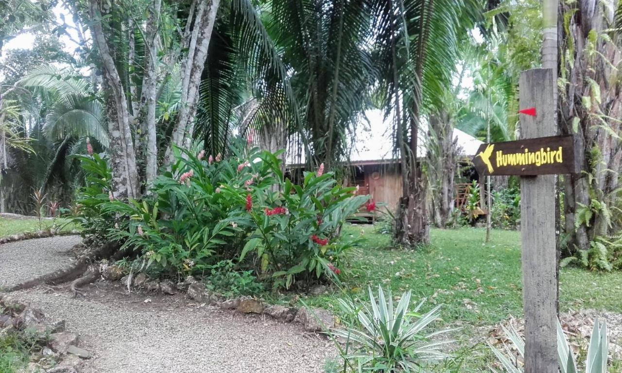 Sun Creek Lodge Punta Gorda Extérieur photo