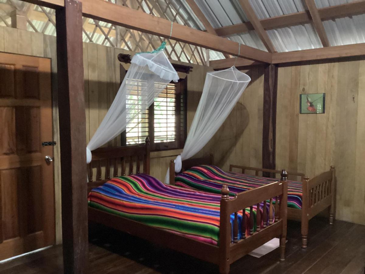 Sun Creek Lodge Punta Gorda Extérieur photo