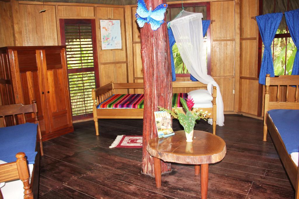 Sun Creek Lodge Punta Gorda Chambre photo