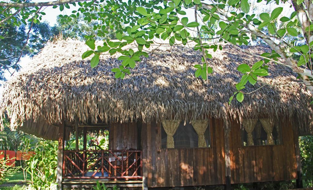 Sun Creek Lodge Punta Gorda Chambre photo
