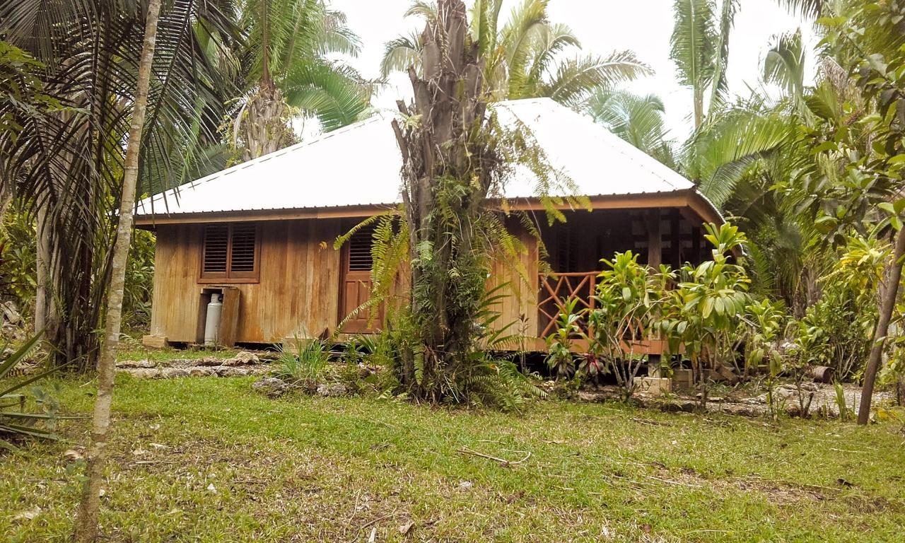 Sun Creek Lodge Punta Gorda Extérieur photo