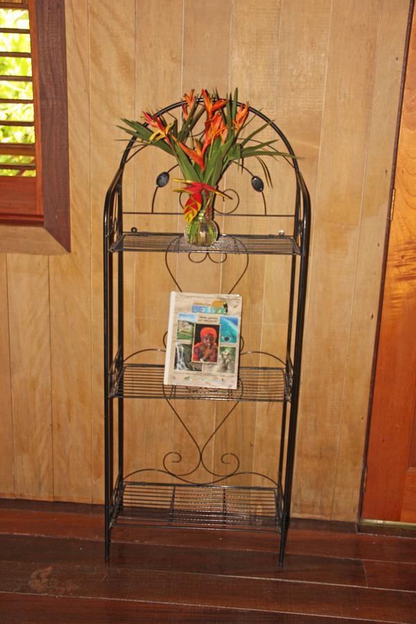 Sun Creek Lodge Punta Gorda Extérieur photo